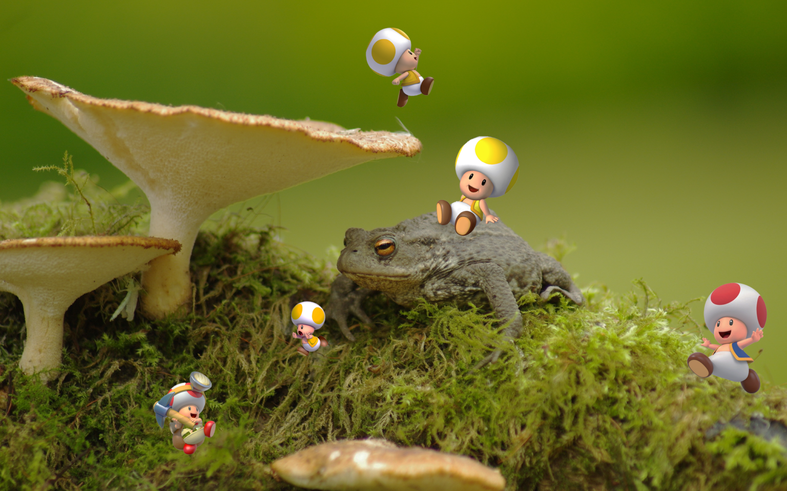 super mario toads hanging around a real life toad